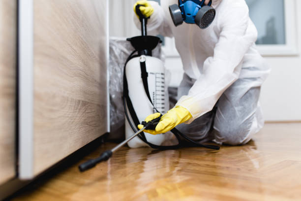 Best Pest Inspection Near Me  in Linthicum, MD