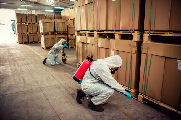 Best Pest Control Near Me  in Linthicum, MD