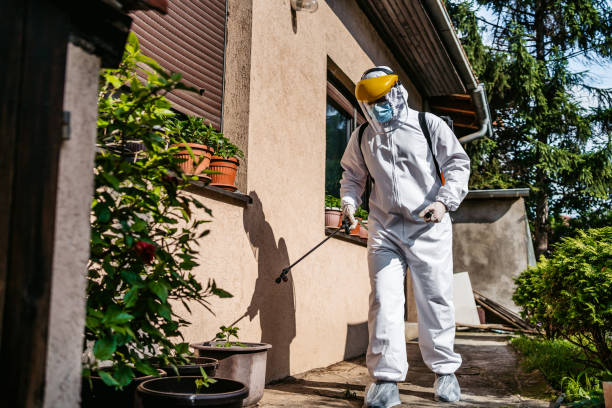 Best Cockroach Control Services  in Linthicum, MD