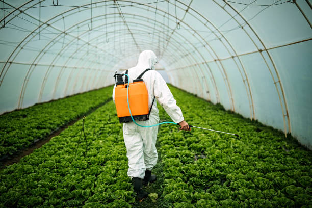 Professional Pest Control in Linthicum, MD