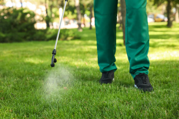 Best Best Pest Control Companies  in Linthicum, MD