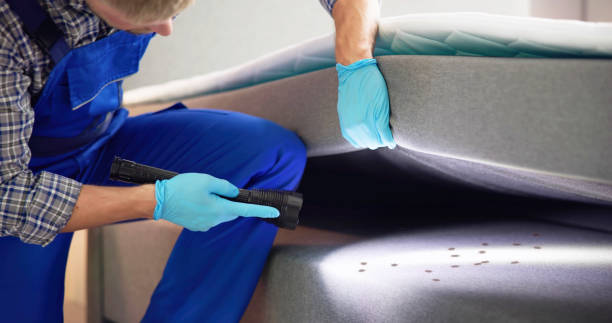 Best Ant Control Services  in Linthicum, MD