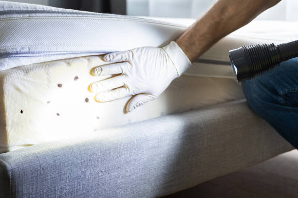 Best Pest Removal Services  in Linthicum, MD